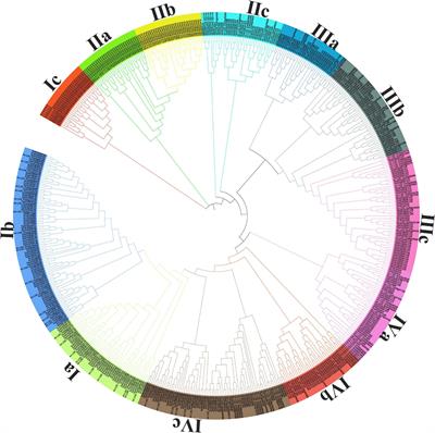 Expansion and Molecular Characterization of AP2/ERF Gene Family in Wheat (Triticum aestivum L.)